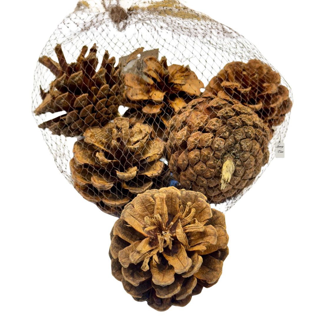 Mixed Pine Cones Pack Luxury Casa