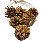 Mixed Pine Cones Pack Luxury Casa