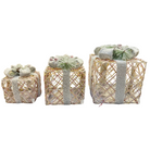 Icy Frost LED Gift Box Set Luxury Casa