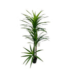 Artificial Dracaena Tree 190 cm Luxury Casa