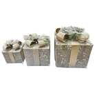Frosted Pine LED Gift Box Set Luxury Casa