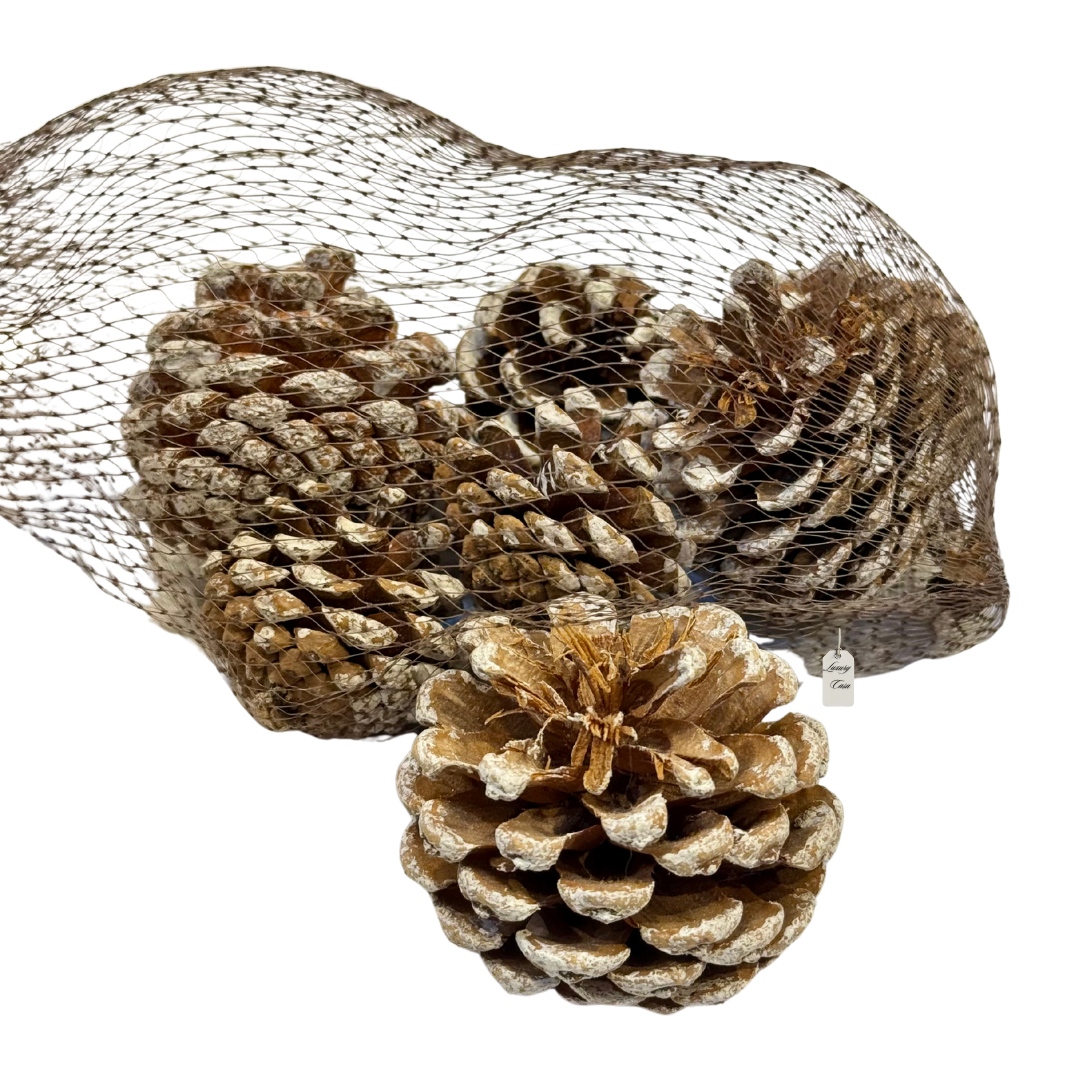 Frosted Pine Cones Pack Luxury Casa