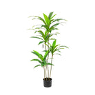 Artificial Dracaena Tree 140 cm Luxury Casa