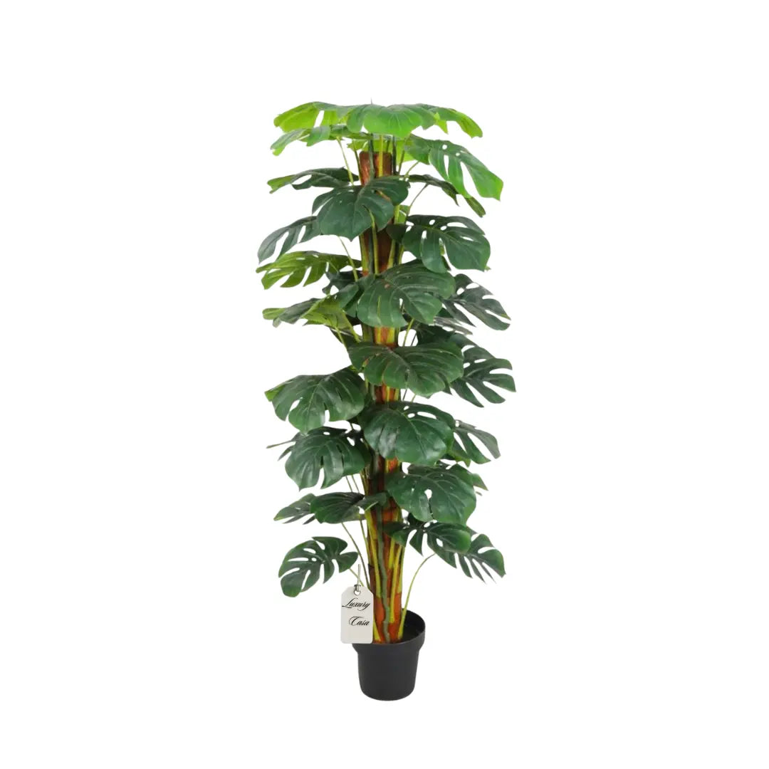 Natural Artificial Monstera Tree 160 cm Luxury Casa