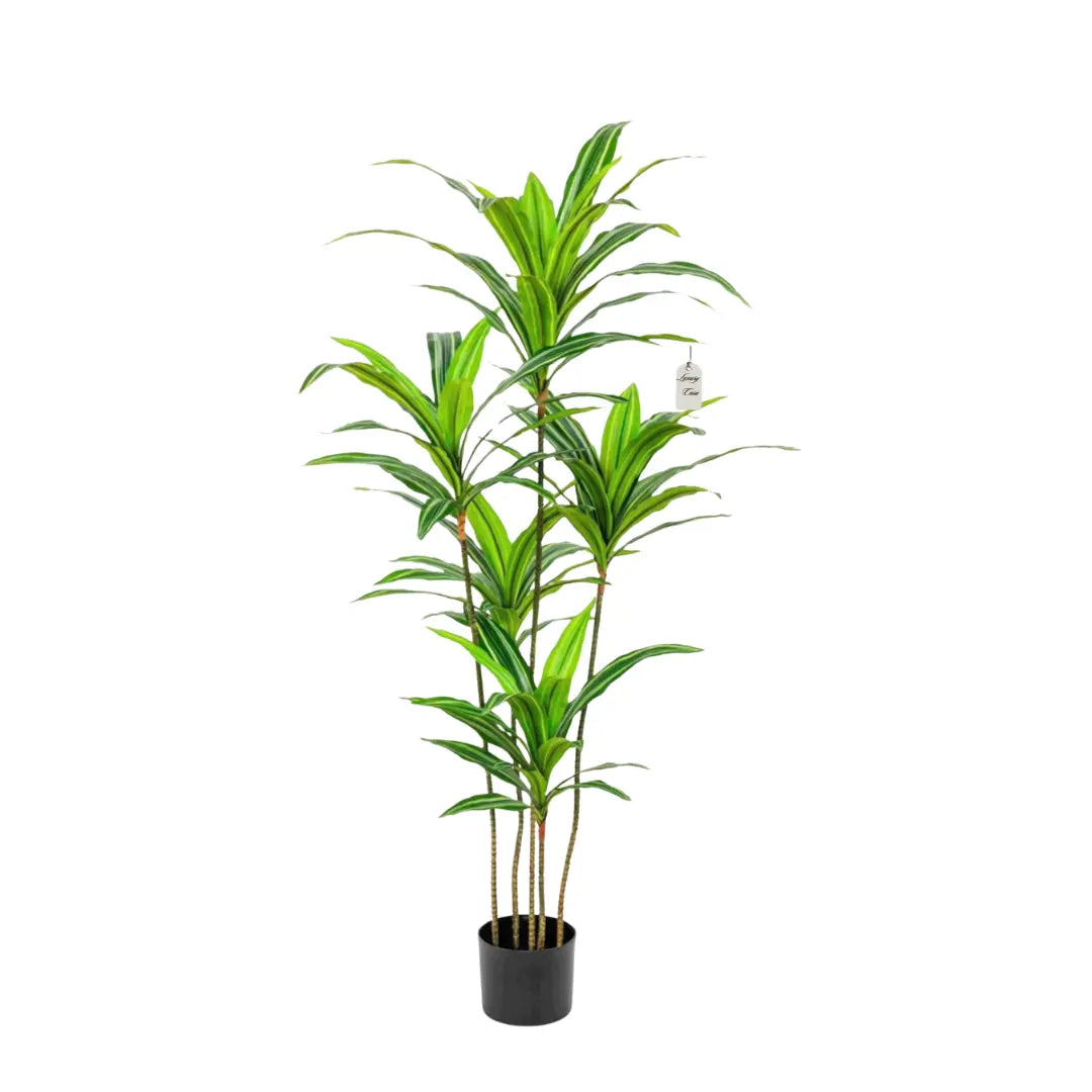 Artificial Dracaena Plant 165 cm Luxury Casa
