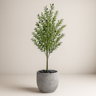 Artificial Olive Tree 180 Cm Luxury Casa
