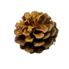 Mixed Pine Cones Pack Luxury Casa