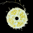 Christmas LED Light Roll 30M Luxury Casa