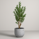 Artificial Olive Tree With Natural Wooden Trunk 150 cm Luxury Casa