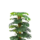 Natural Artificial Monstera Tree 160 cm Luxury Casa
