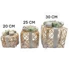 Icy Frost LED Gift Box Set Luxury Casa