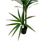 Artificial Dracaena Tree 190 cm Luxury Casa