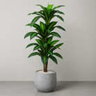 Artificial Dracaena Tree 150 cm Luxury Casa