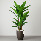 Artificial Banana Tree 180 CM Luxury Casa