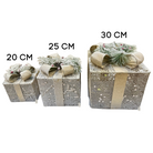 Frosted Pine LED Gift Box Set Luxury Casa