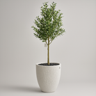 Artificial Olive Tree 160 cm Luxury Casa