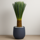 Artificial Palm Tree 120 Cm Luxury Casa