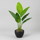 Artificial Banana Tree 90 cm Luxury Casa
