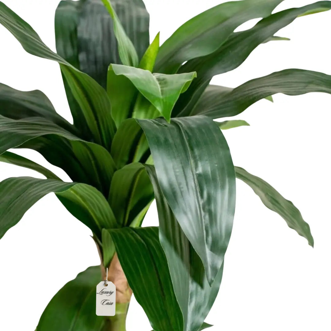 Artificia Draceana Tree 130 Cm Luxury Casa