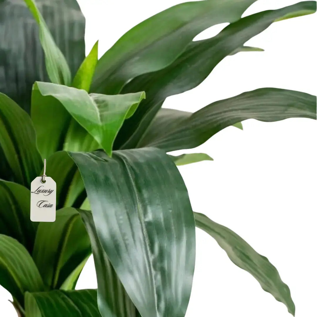 Artificia Draceana Tree  140 Cm Luxury Casa