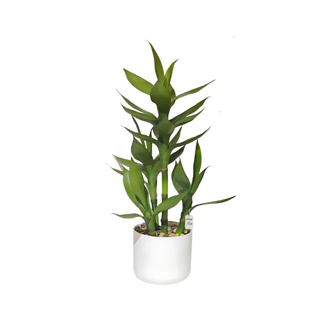 Artificial Bamboo Plant 50 cm Luxury Casa
