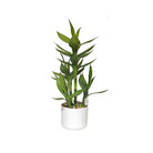 Artificial Bamboo Plant 50 cm Luxury Casa