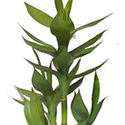 Artificial Bamboo Plant 60 cm Luxury Casa