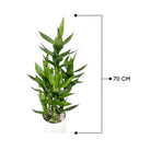 Artificial Bamboo Plant 70 cm Luxury Casa