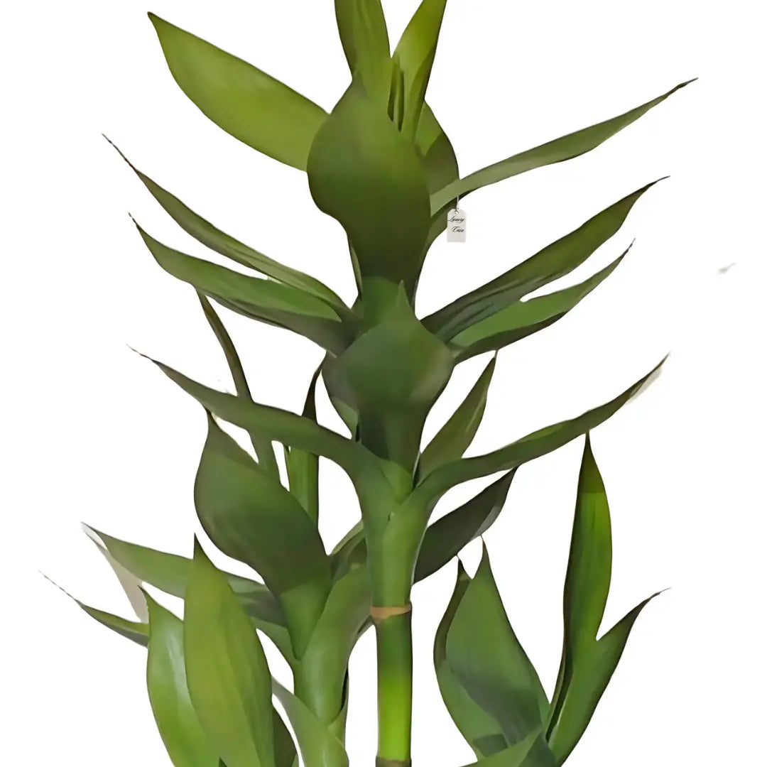 Artificial Bamboo Plant 70 cm Luxury Casa