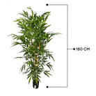 Artificial Bamboo Tree 180 Cm Luxury Casa