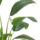 Artificial Banana Tree 120 cm Luxury Casa