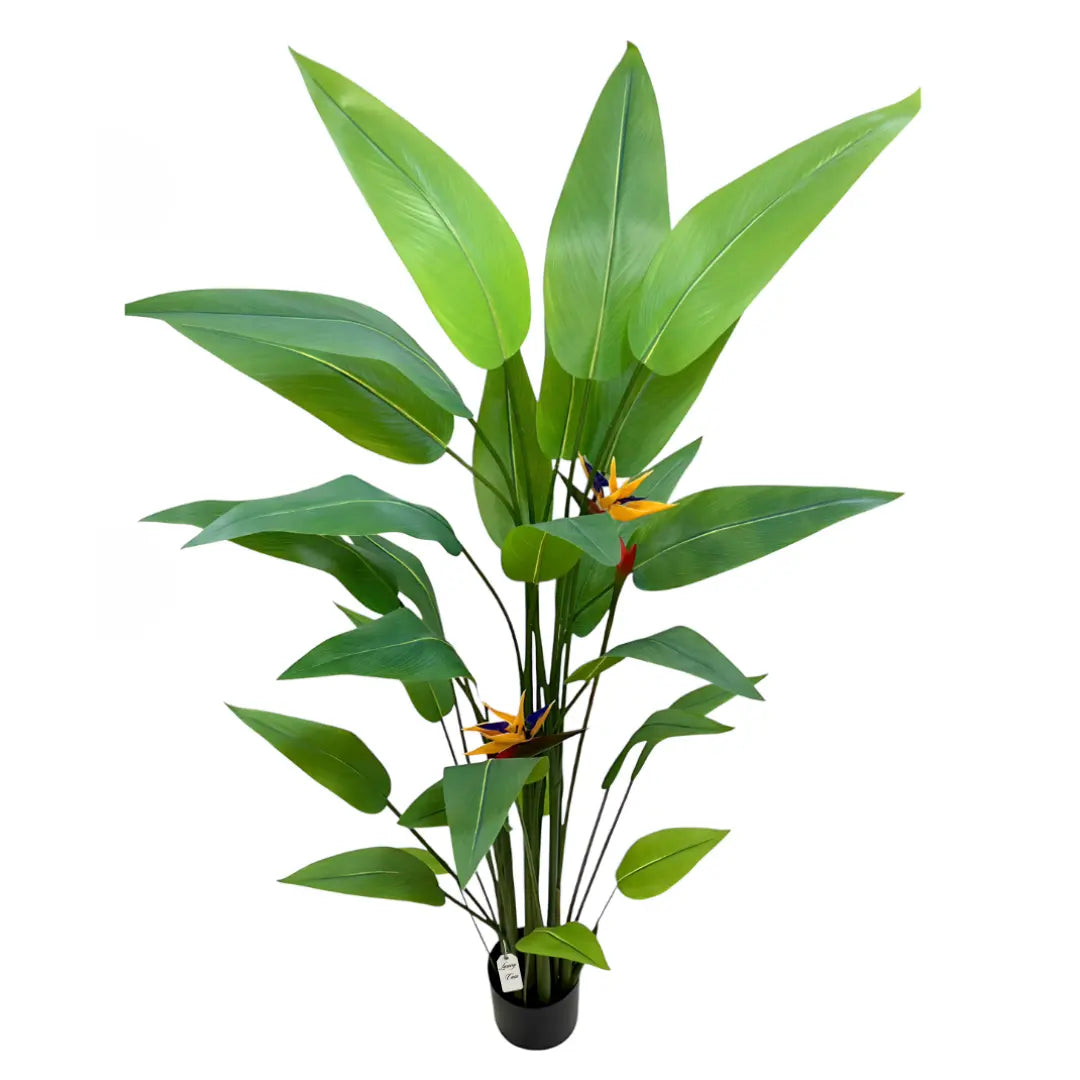 Artificial Banana Tree 180 Cm Luxury Casa