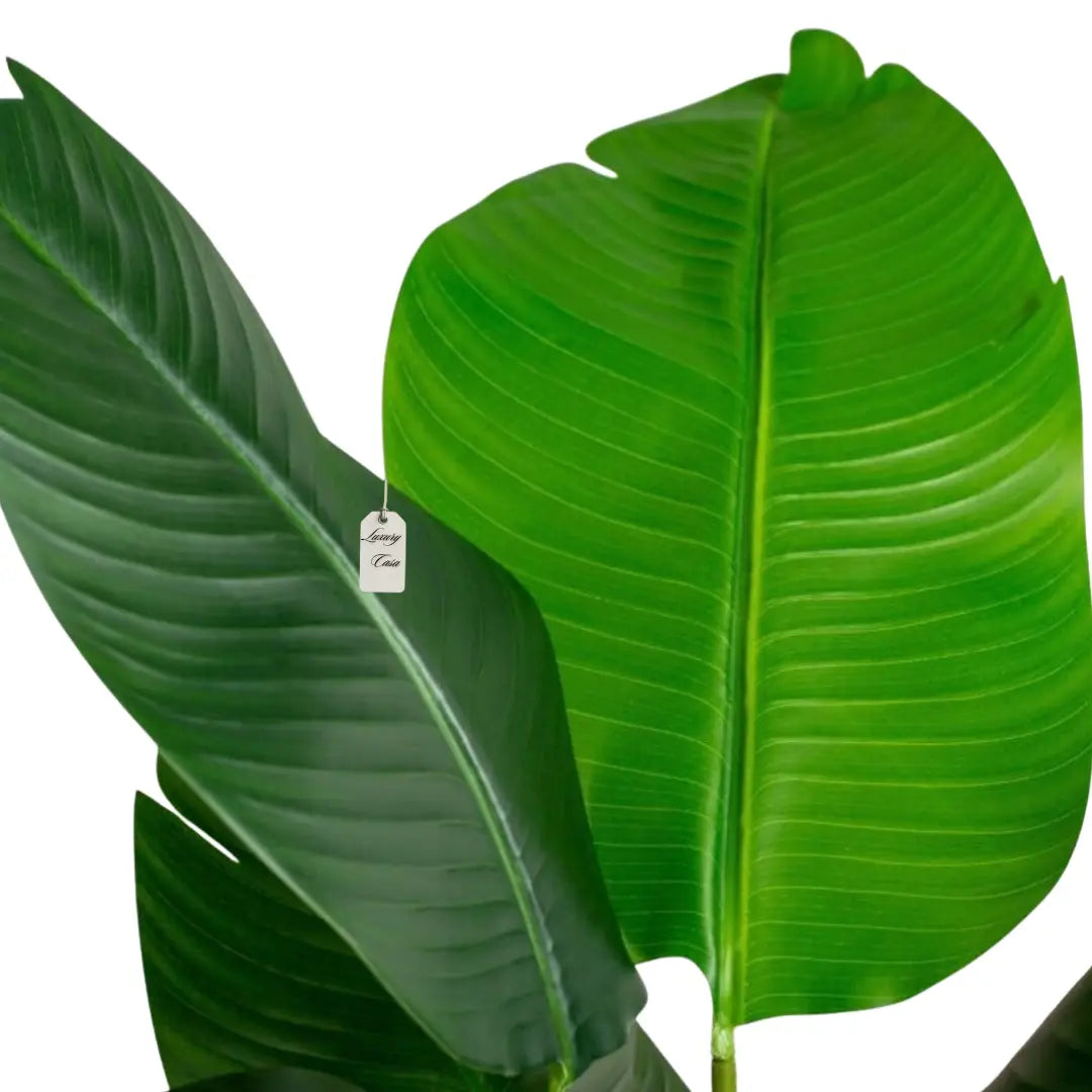 Artificial Banana Tree 90 Cm Luxury Casa