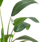 Artificial Banana Tree 90 cm Luxury Casa