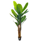 Artificial Banana Tree With Natural Wooden Trunk 250 cm Luxury Casa