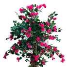 Artificial Bougainvillea Tree With Natural Wooden Trunk 190 cm Luxury Casa