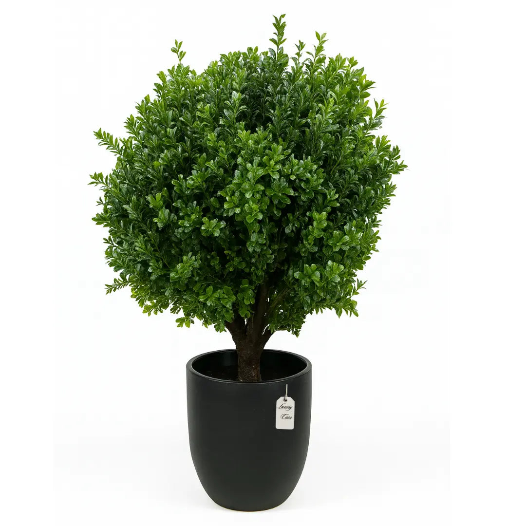 Artificial Boxwood Plant 50 cm Luxury Casa