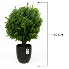 Artificial Boxwood Plant 50 cm Luxury Casa