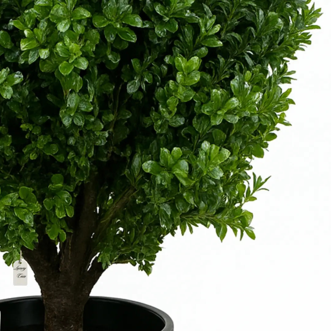 Artificial Boxwood Plant 50 cm Luxury Casa
