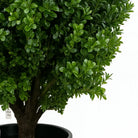 Artificial Boxwood Plant 50 cm Luxury Casa