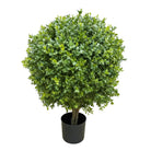 Artificial Boxwood Plant 60 cm Luxury Casa