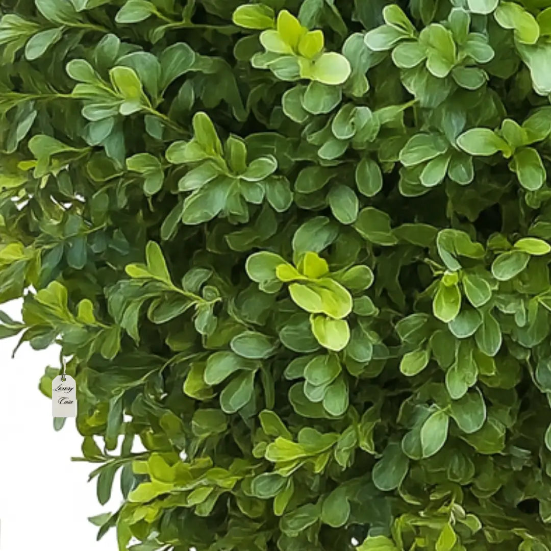 Artificial Boxwood Plant 60 cm Luxury Casa