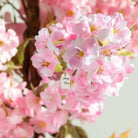Artificial Cherry BlossomTree With Natural Wooden Trunk 185 cm Luxury Casa