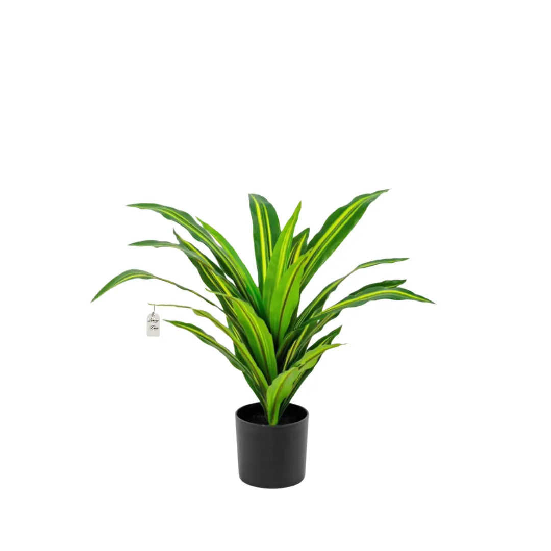 Artificial Dracaena Plant 55 cm Luxury Casa