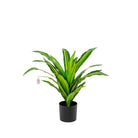 Artificial Dracaena Plant 55 cm Luxury Casa