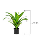 Artificial Dracaena Plant 55 cm Luxury Casa