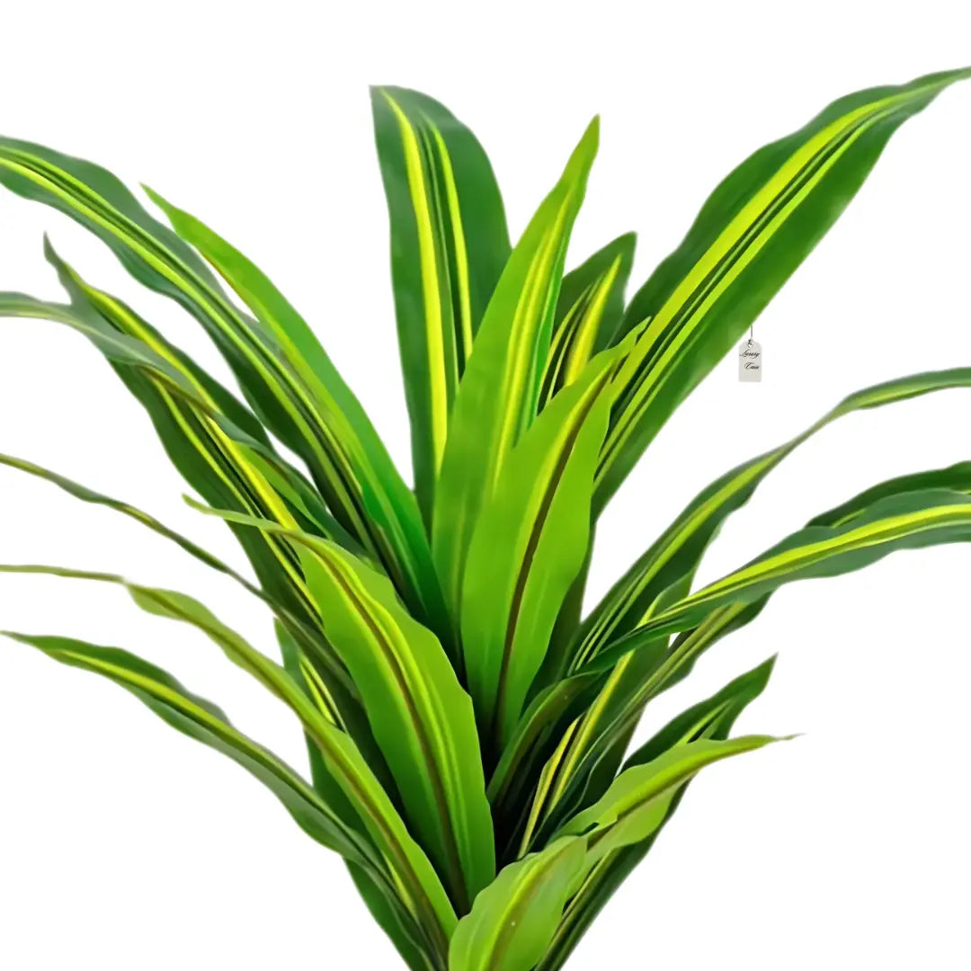 Artificial Dracaena Plant 55 cm Luxury Casa