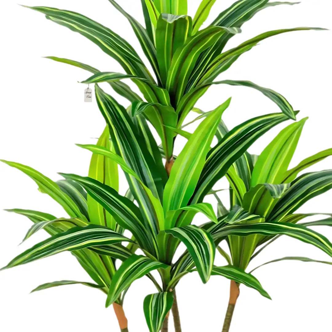 Artificial Dracaena Tree 100 cm Luxury Casa