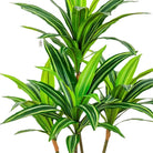 Artificial Dracaena Tree 100 cm Luxury Casa