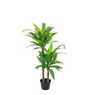 Artificial Dracaena Tree 100 cm Luxury Casa